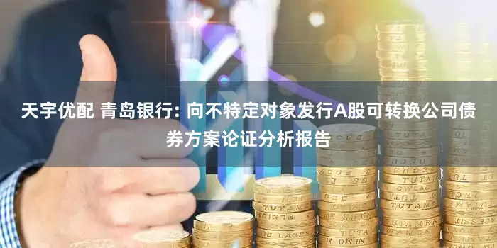 天宇优配 青岛银行: 向不特定对象发行A股可转换公司债券方案论证分析报告