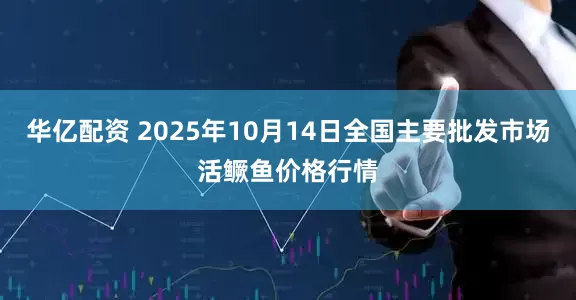 华亿配资 2025年10月14日全国主要批发市场活鳜鱼价格行情